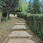 U Niedzwiedzia