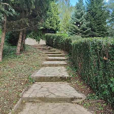 U Niedzwiedzia