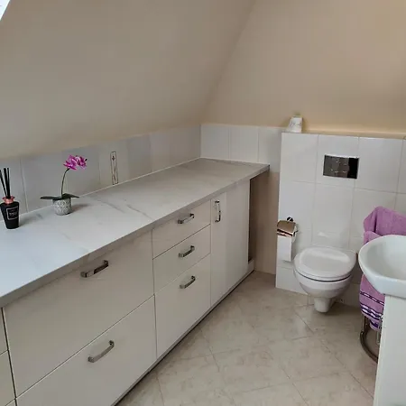 U Niedzwiedzia Holiday home Niedzwiedz